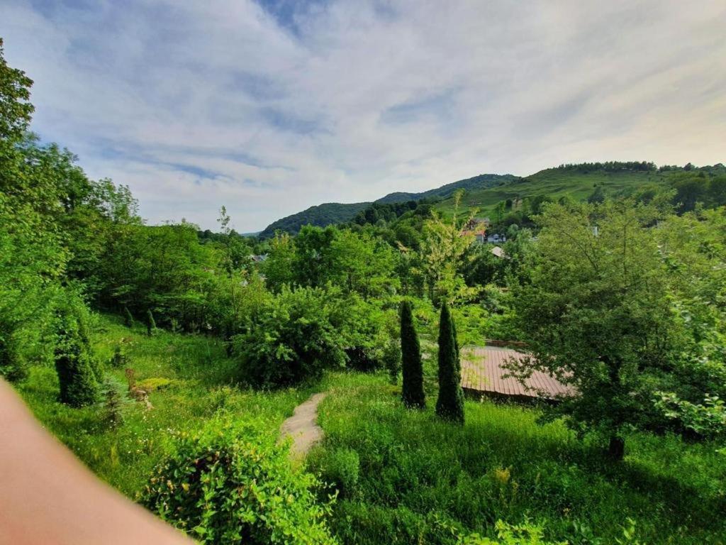 Vila Gigi, Ideala Pentru Relaxare Si Distractie! Breáza Kültér fotó